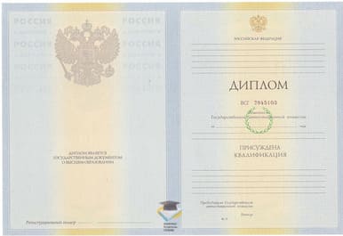 Диплом БФ ИГУ 2010-2011 годов